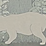 Постер: Аномалии