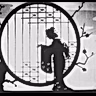 Постер: Мадам Баттерфляй