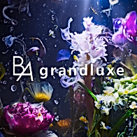 B.A grandluxe Brand Movie