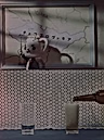 Постер: История пива