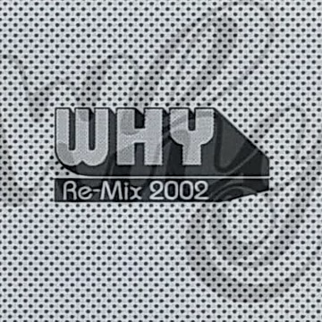 Постер: Причина: Ремикс 2002