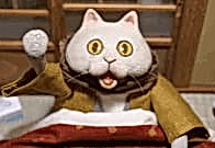 Котацунэко ONA