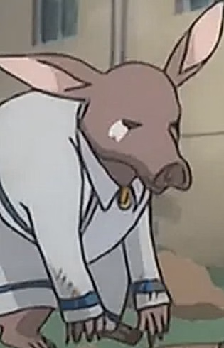 Цутибутаана