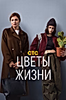 Постер: Цветы жизни